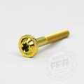 Proti M10 and M5 Side Stand Bolt Kit for the Aprilia Tuono V4 1100 RR / V4 1100 Factory 2017-2020 Proti M10 and M5 Side Stand Bolt Kit for the Aprilia Tuono V4 1100 RR / V4 1100 Factory 2017-2020